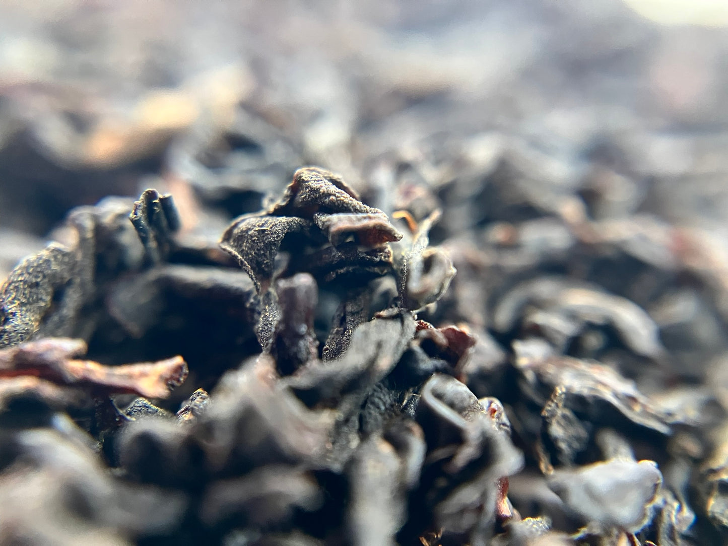 Vanilla Black