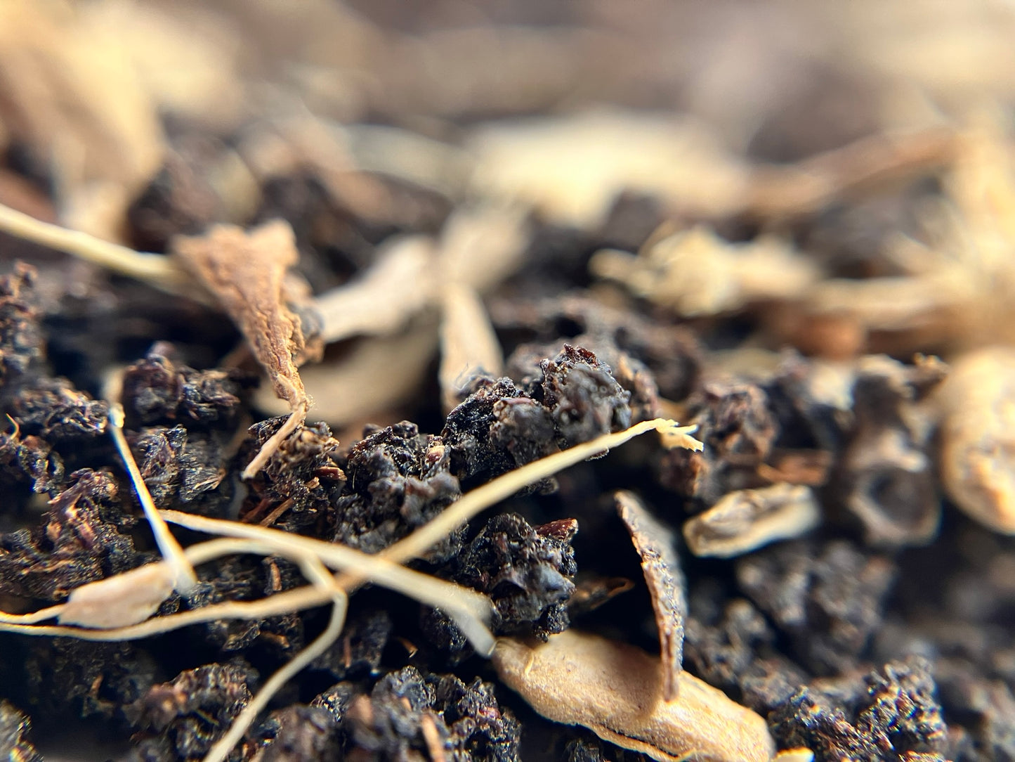 Masala Chai