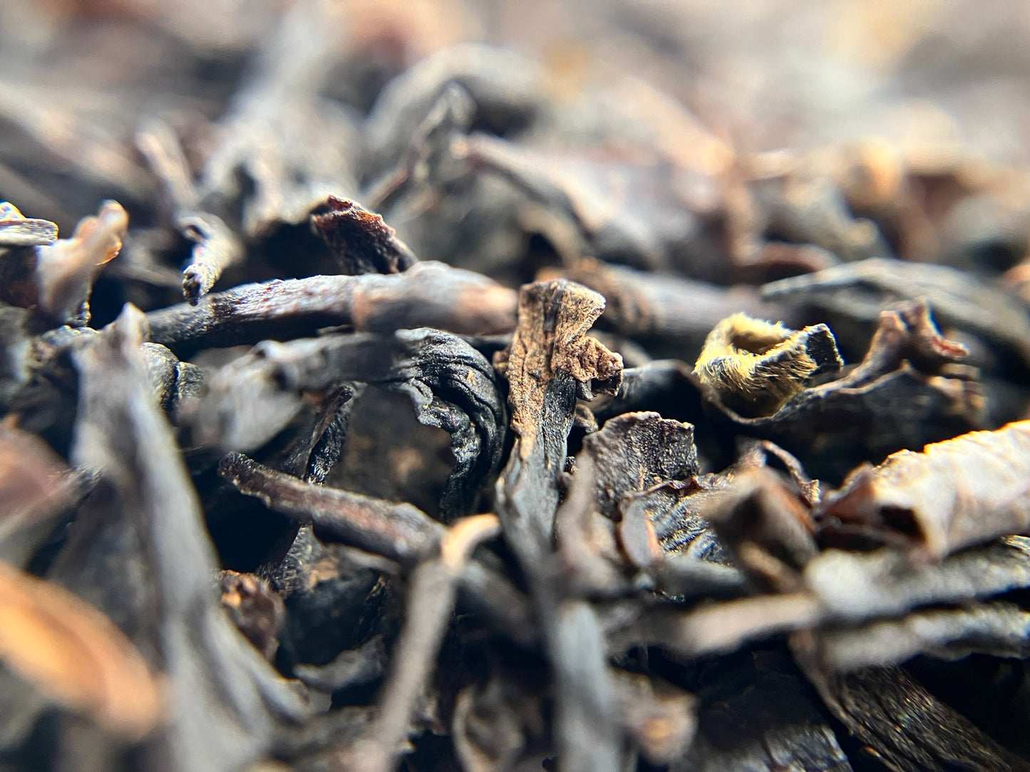 Lapsang Souchong