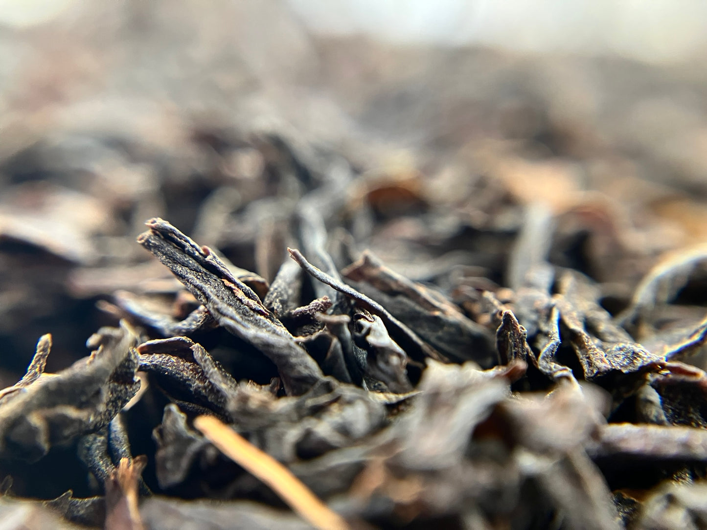 Lapsang Souchong