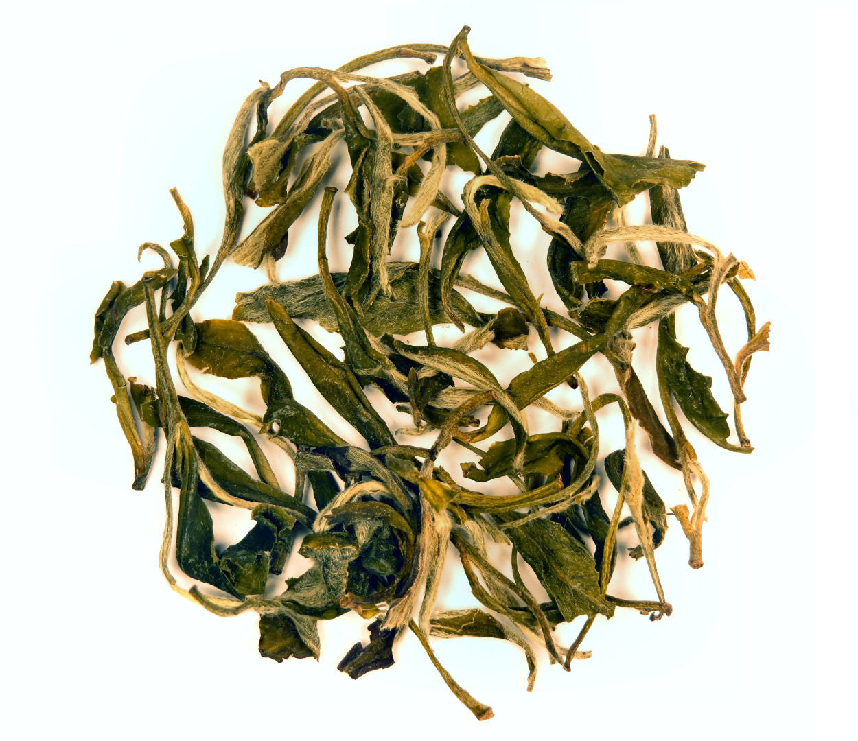 Pai Mu Tan white tea
